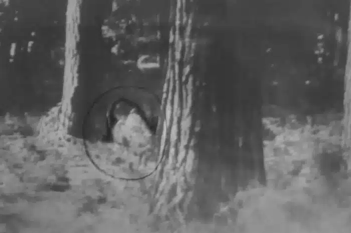 Real Life Slender Man
