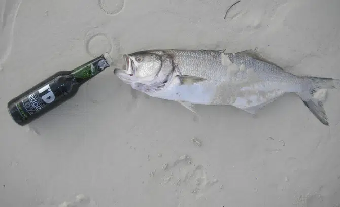 Worst Customers - beer battered fish