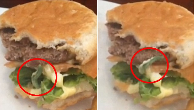 Caterpillar Burger