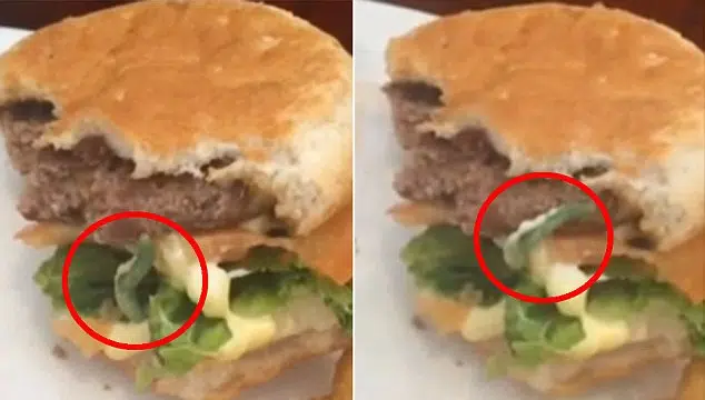 Caterpillar Burger