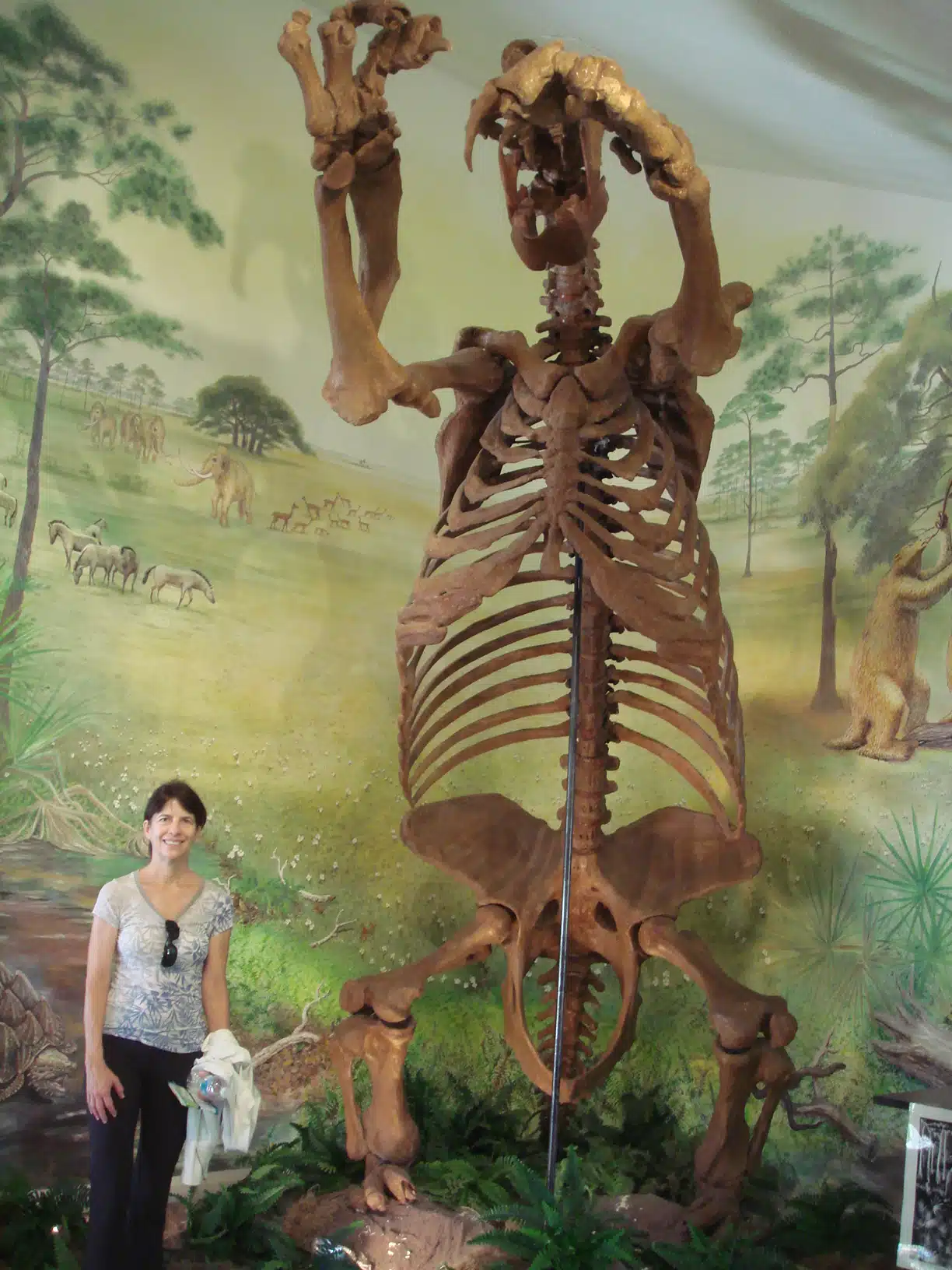 Places You Can't Visit - Giant Land Sloth
