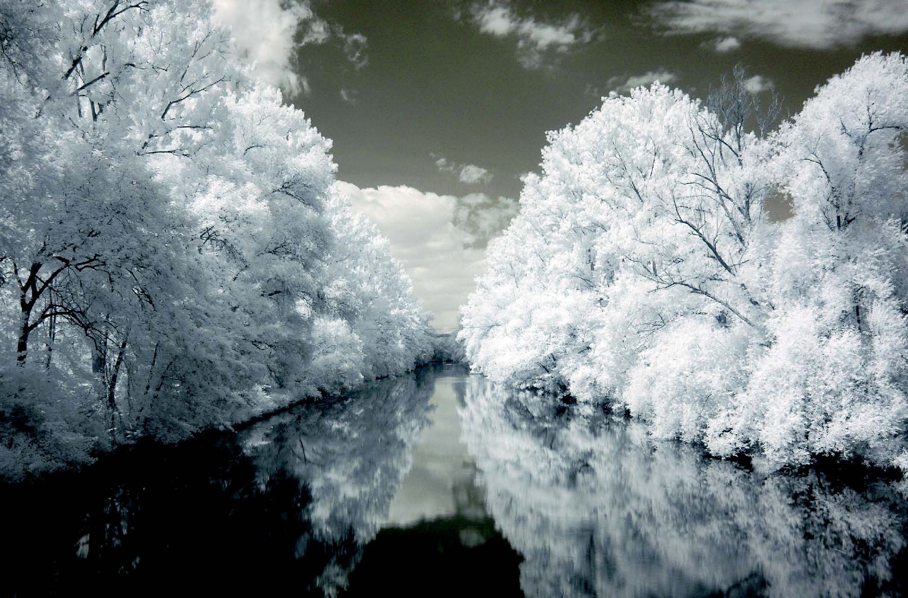 Infrared Photography - River