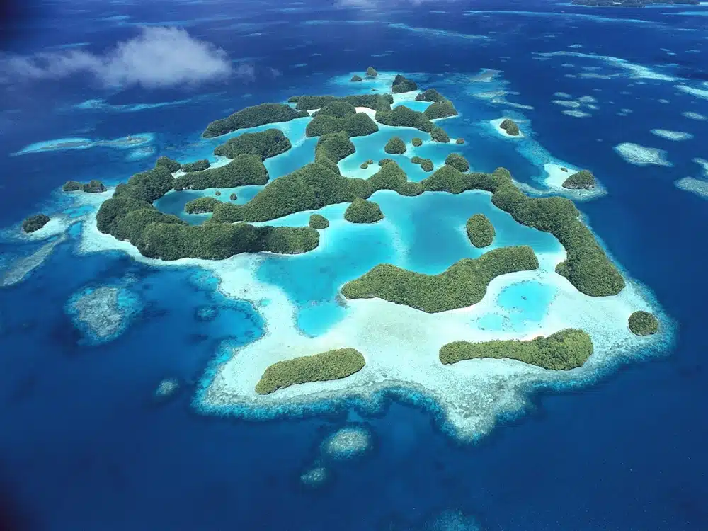 Palau Jellyfish Island