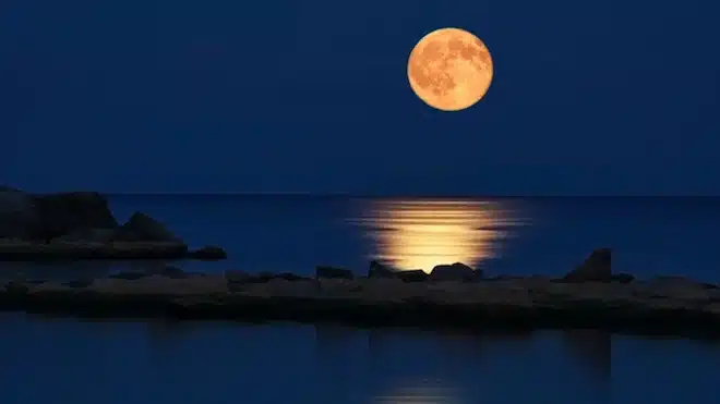 Amazing Sleep Experiments - Full Moon