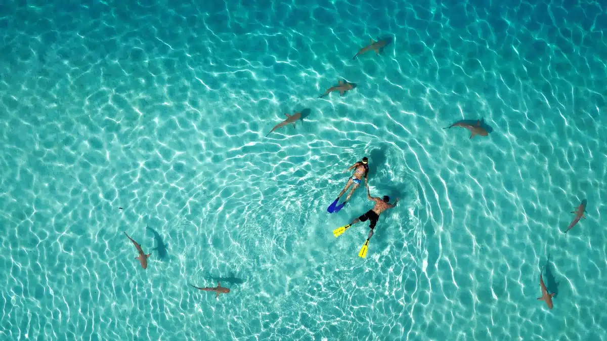 Drone Photo 2
