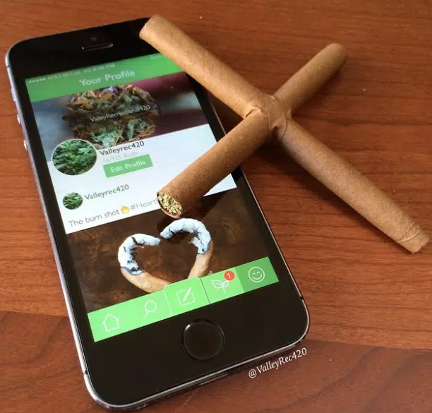 Insane Blunt Rolls 1