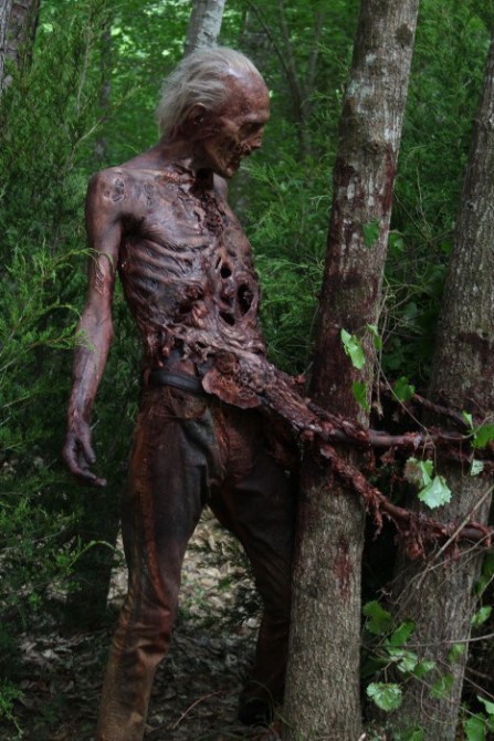 Walking Dead New Zombies 1