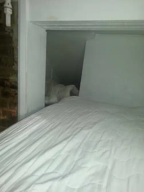 London Flat 3