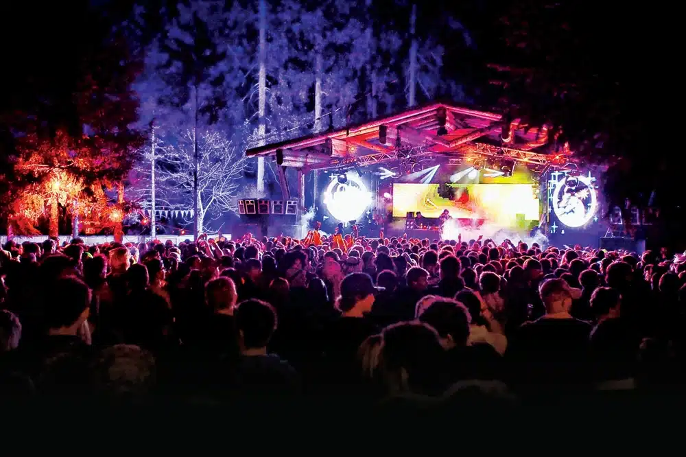 Snowbombing - The Forest