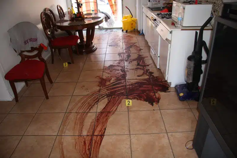 Bloody Apartment