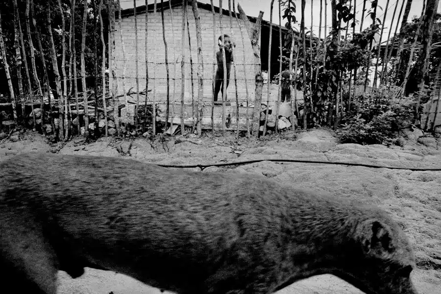 The Third Rood - Matt Black - A Boy And Dog