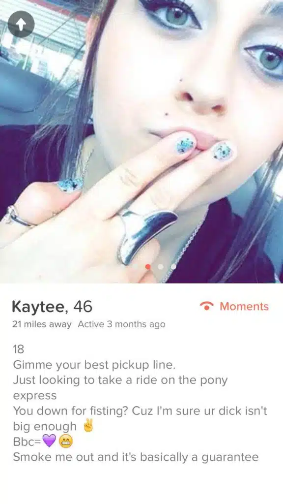 kaytee