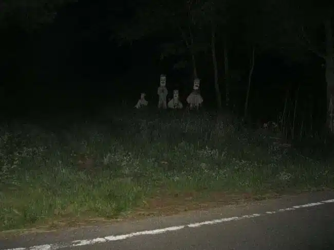 Creepy Photograph 18