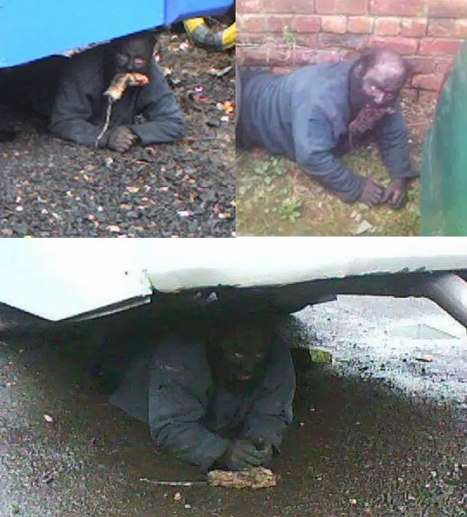 Greenock Catman Montage
