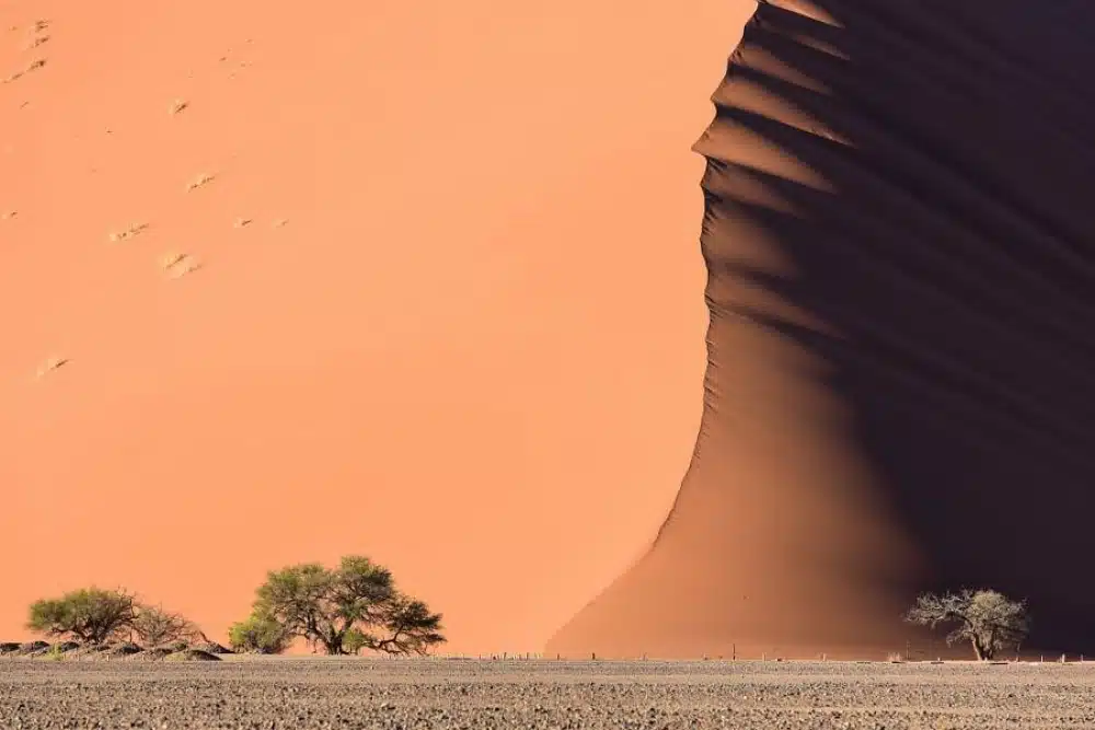 Without Photoshop - Namib Desert