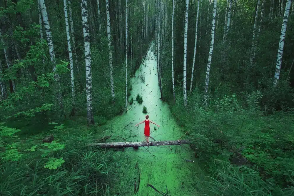 Without Photoshop - Russian Forest