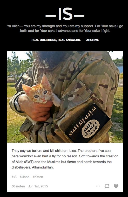 is kittens