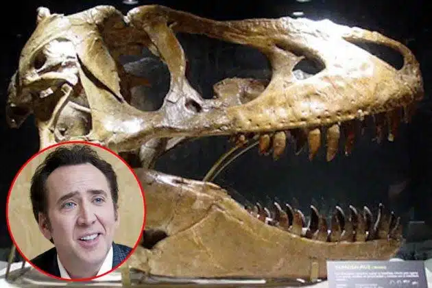 rex