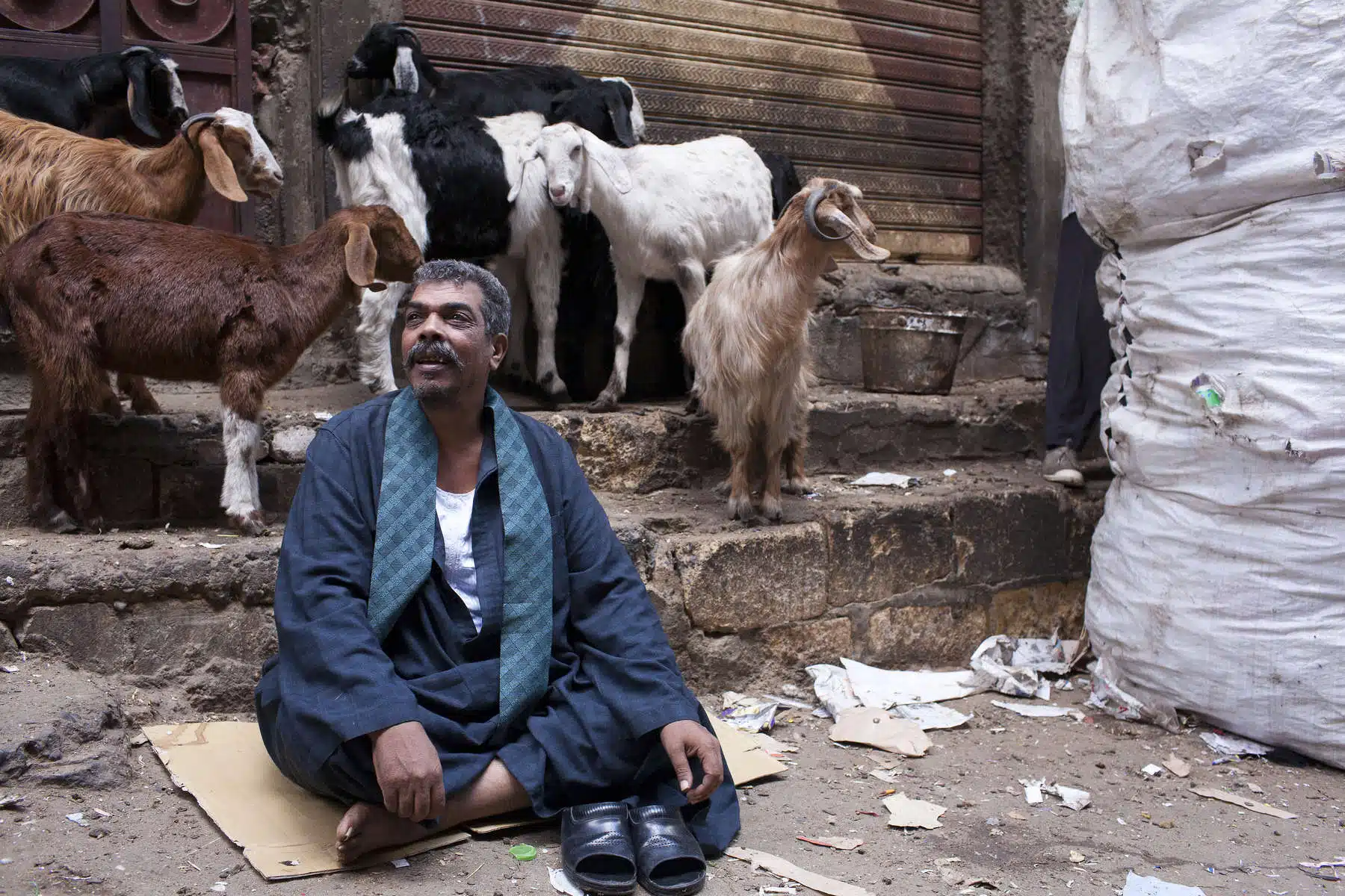 Zabaleen of Moqqatam - Dude and Goats