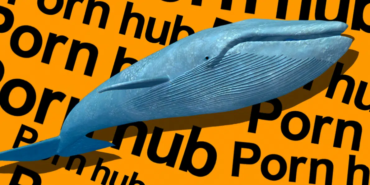 Pornhub save the whale