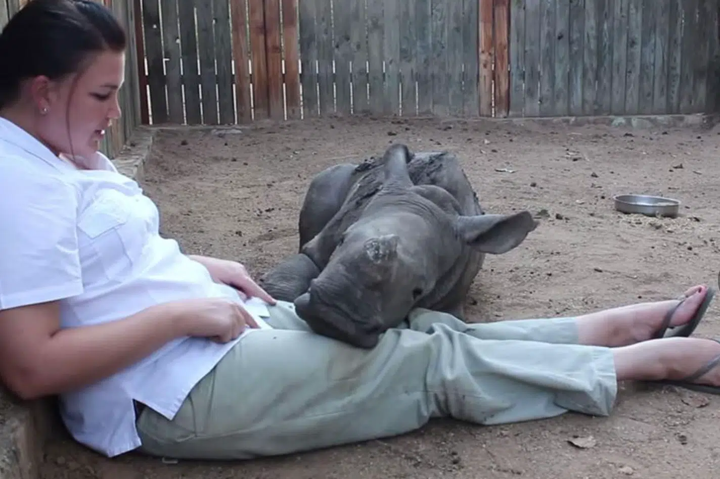 Baby Rhino
