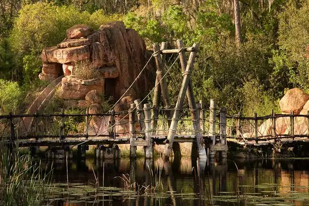 Disney Park
