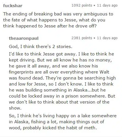 Jesse Pinkman Future