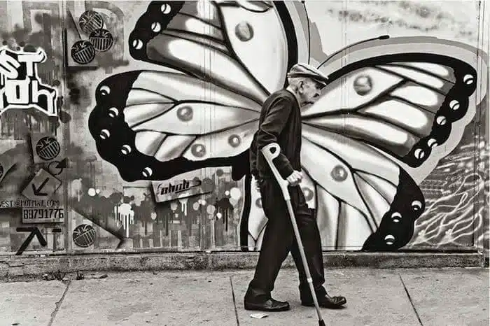 fly