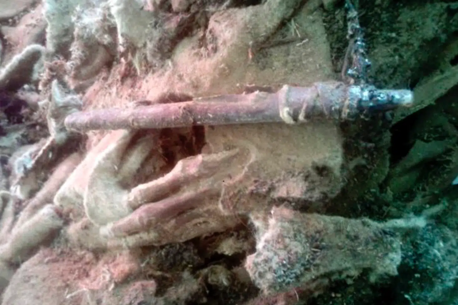 Mummy's Hands