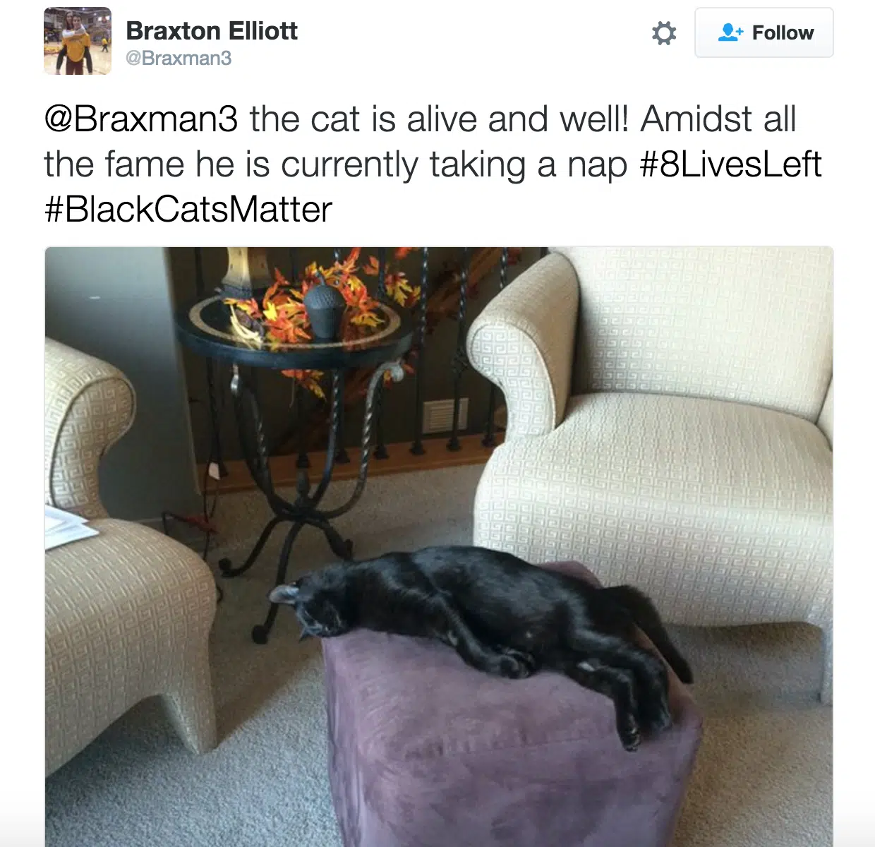 cat1