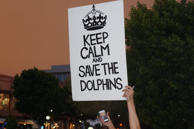 Dolphin protesting