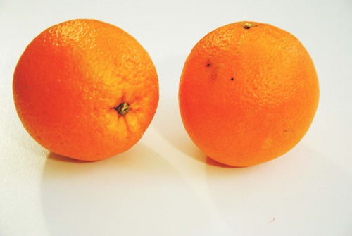 oranges