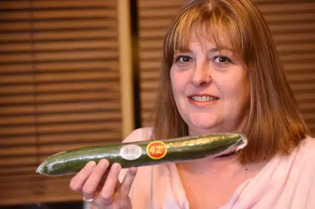 cucumber