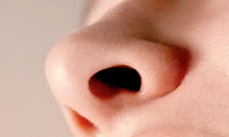 nose