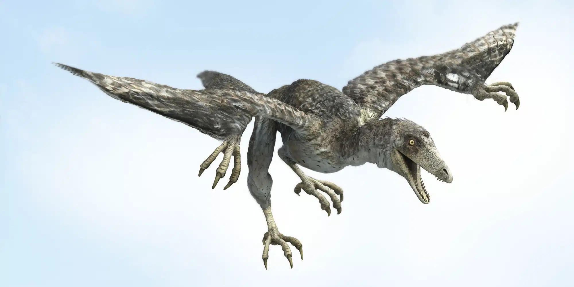 Archaeopteryx in flight