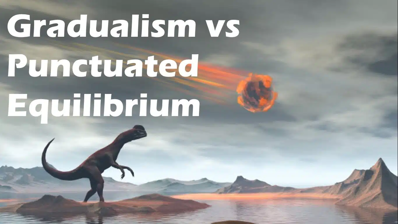 evolution-is-right-argument