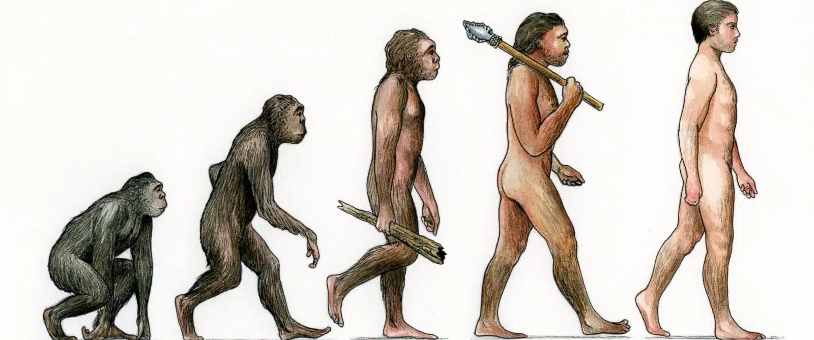 evolution-is-right-monkey-to-man