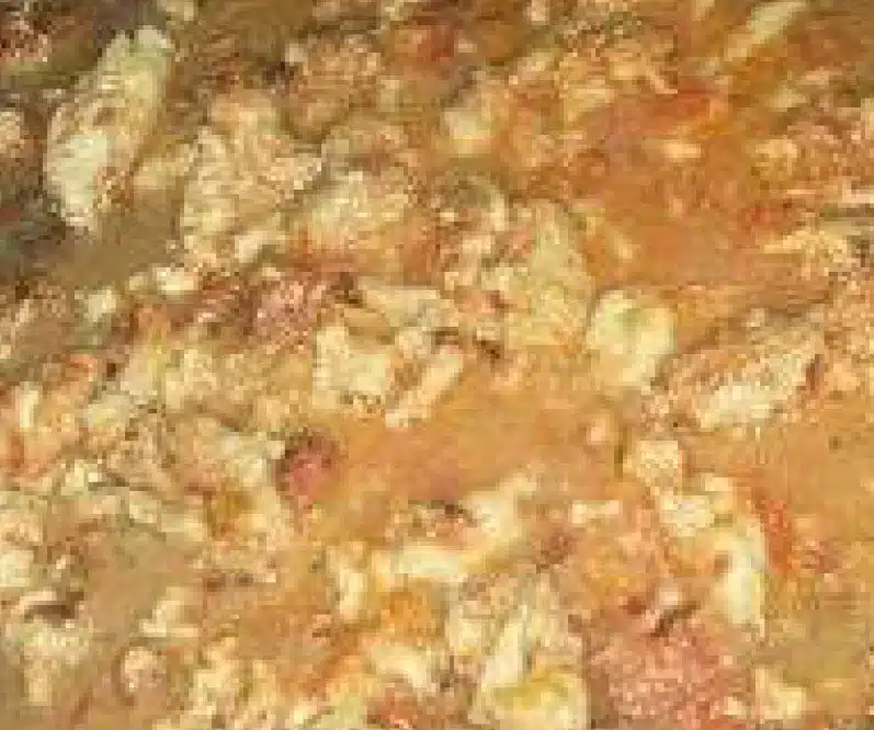 vomit-1