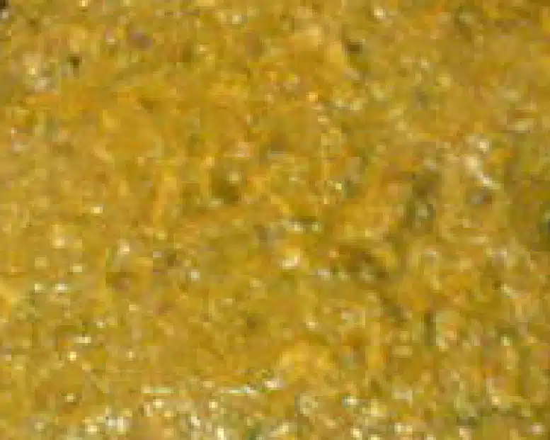vomit