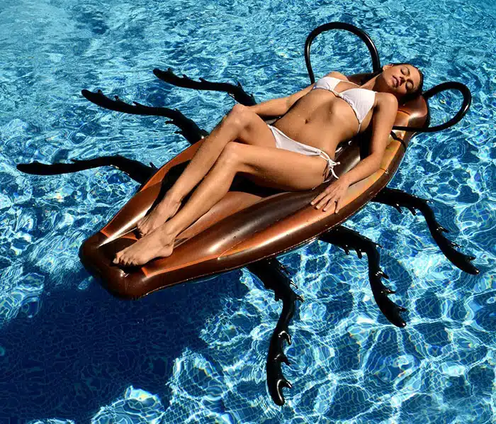 gigantic-cockroach-raft-inflatable-pool-float-kangaroo-4