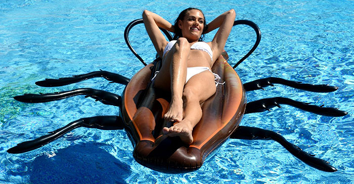 gigantic-cockroach-raft-inflatable-pool-float-kangaroo-8