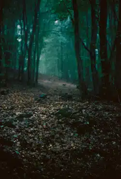 acidgif5