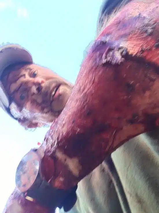 bear-attack-1