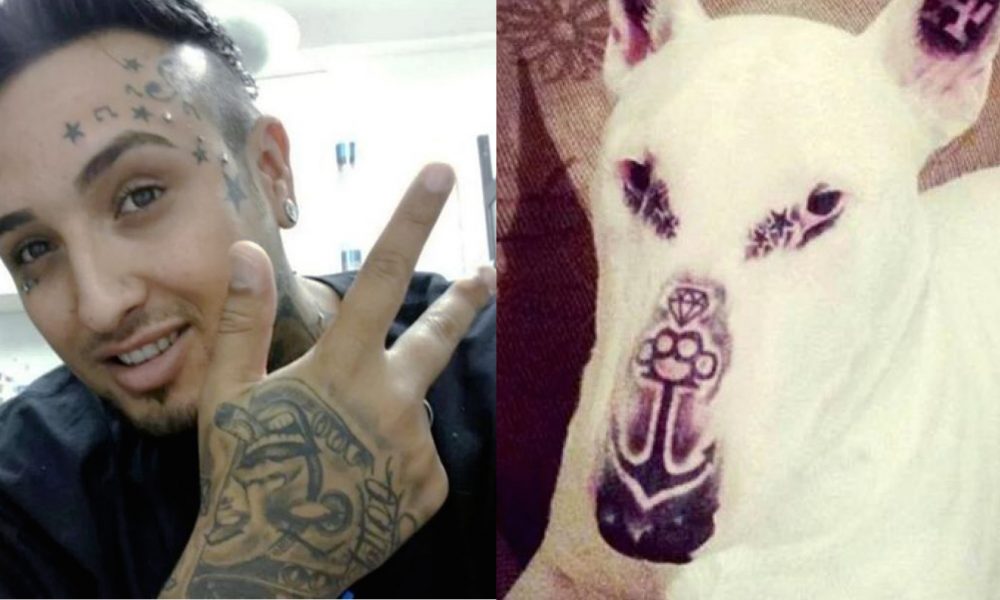 sick dogs tattoo www imgkid com the image kid has it sick dogs tattoo www imgkid com the image kid has it