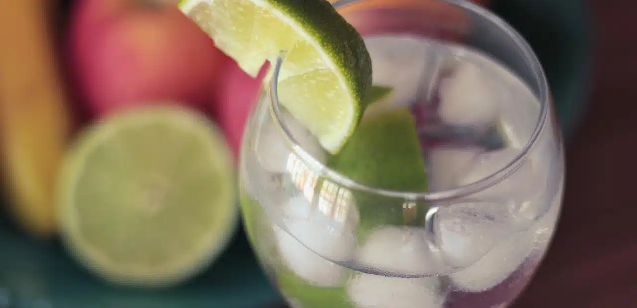 gin-and-tonic-drink