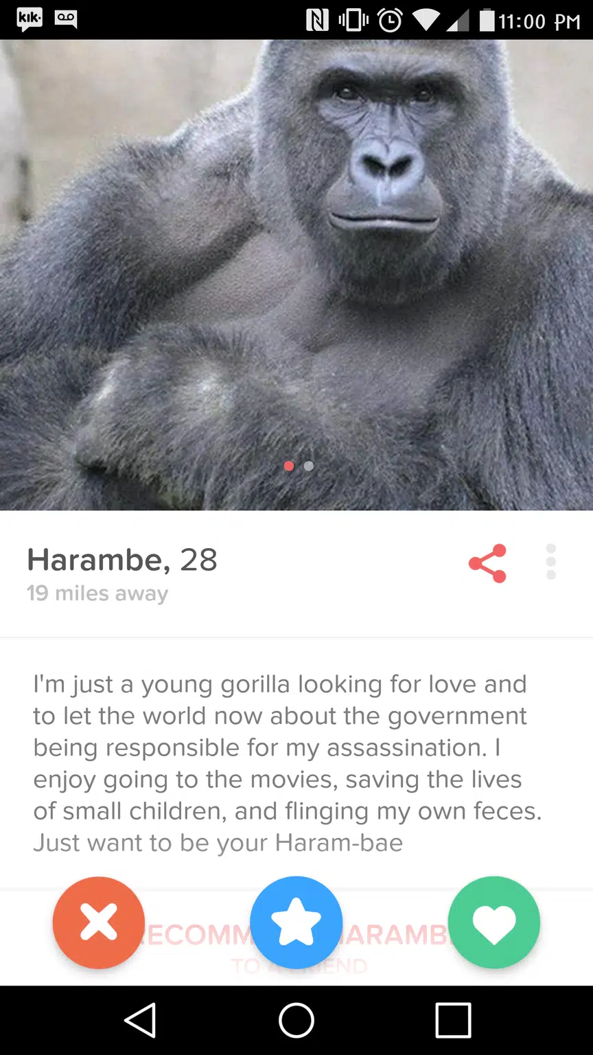 tinder-8