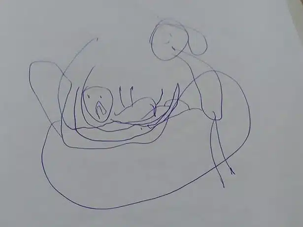 drawing-2
