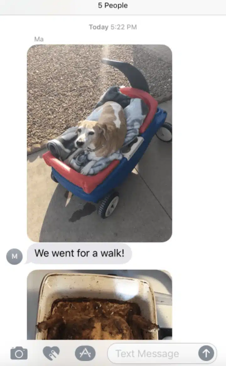 walk