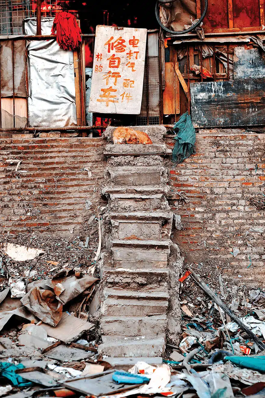 Shoot in Tianjin, PRC. A dog sleeps, peacefully ignoting the surrounding chaos.