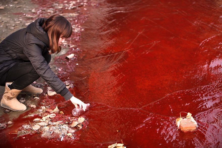 This picture taken on December 13, 2011 shows a woman collecting a sample of the red polluted water flowing from a sewer into the Jian River in Luoyang, north China's Henan province. The cause of the river becoming apocalyptic in character was red dye being dumped into the city's storm water pipe network, by two illegal dye workshops,the Luoyang Municipal Environmental Protection Bureau said on December 14, 2011, as authorities said they were working to shut down the workshops, and to disassemble the workshops' machinery. AFP PHOTO CHINA OUT